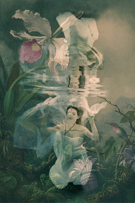 May 2026 - Guest Artist: Erika Masterson