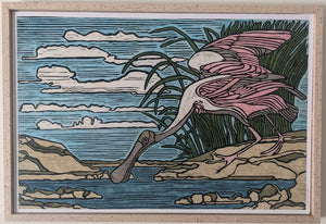 Roseatte Spoonbill