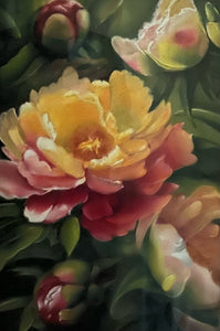 Peonies