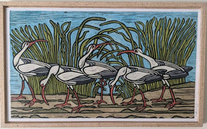 Ibis