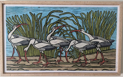 Ibis