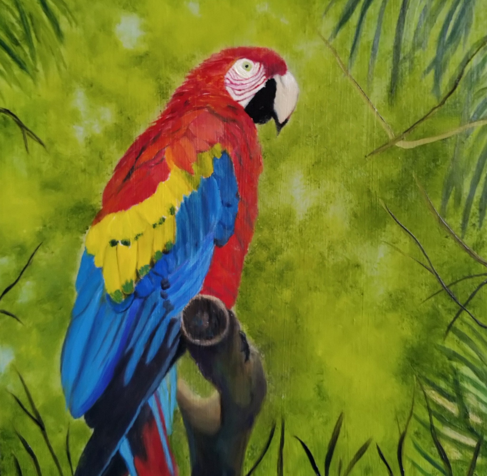 Red Macaw by Caroline Frederiksen