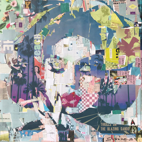 Thrills on the Blazing Sands