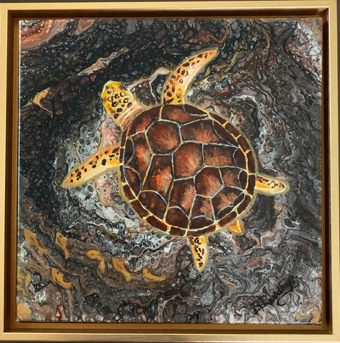 Turtle