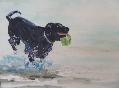 Catch Me If You Can - SOLD!