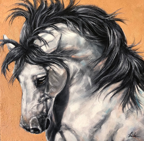 Shadow Dancer by Lila Blakeslee