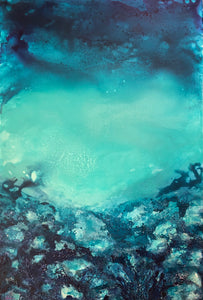 Spotted Grouper
