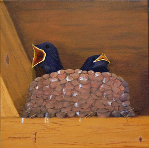 Baby Barn Swallows by Sharon Way-Howard