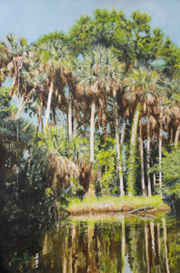Sabal Palms on Turkey Creek